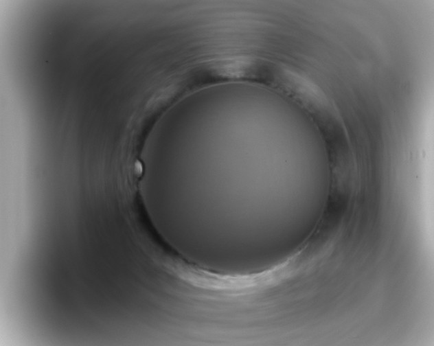 X0000096660031200802121140