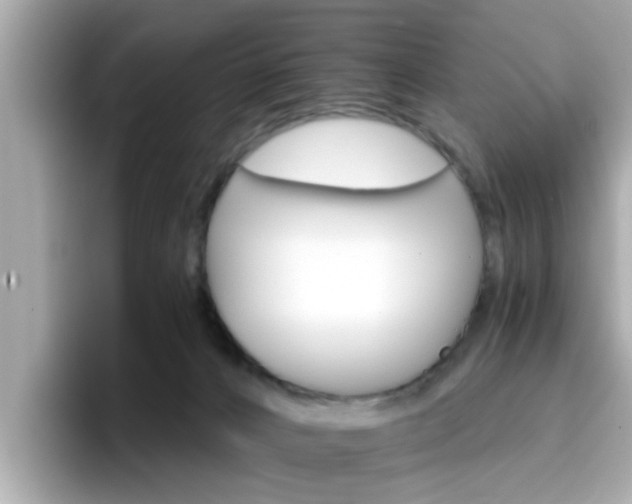 X0000096660032200802121140