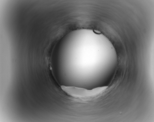 X0000096660033200802121140