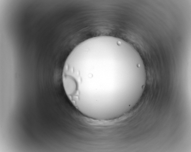 X0000096660034200802121140