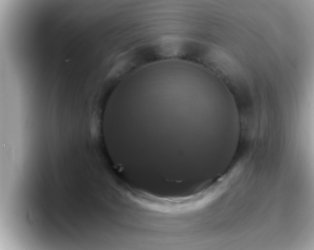 X0000096660035200802121140