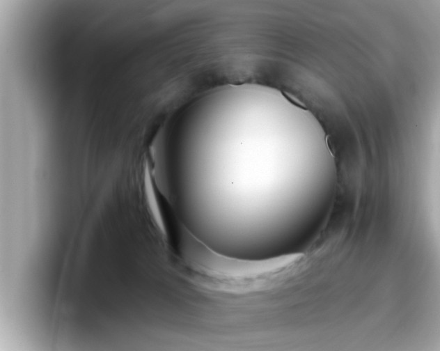 X0000096660037200802121140