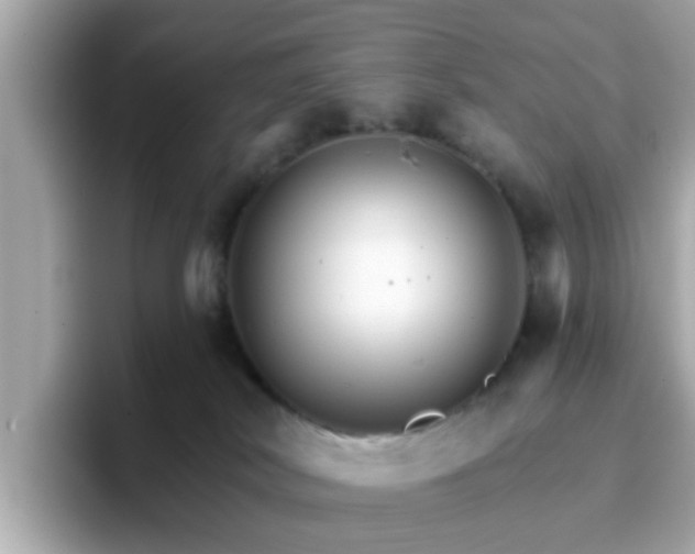 X0000096660038200802121140