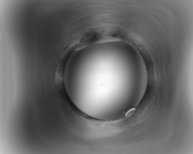 X0000096660040200802121140