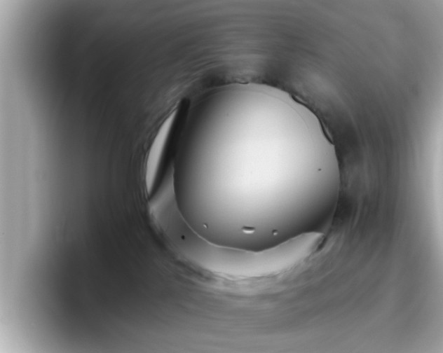 X0000096660041200802121139