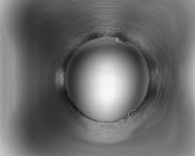 X0000096660042200802121139