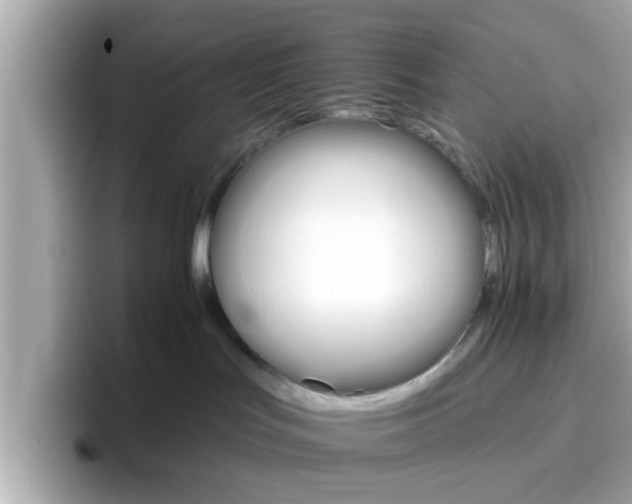 X0000096660047200802121139