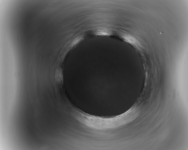 X0000096660048200802121139