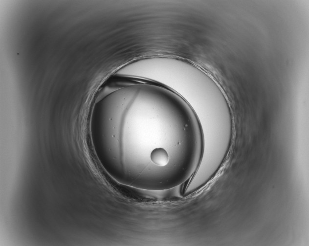 X0000096660049200802121139