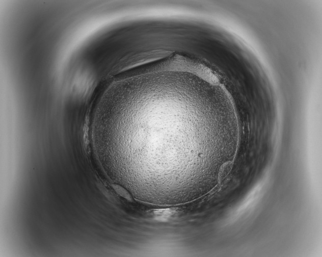 X0000096660050200802121139