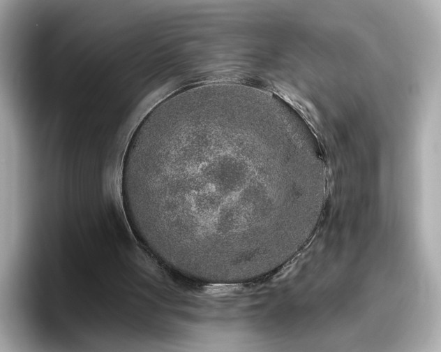 X0000096660051200802121139