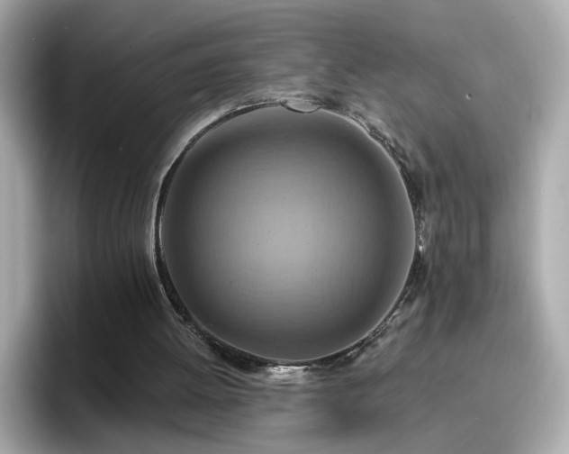 X0000096660052200802121139