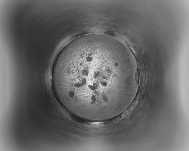 X0000096660053200802121139