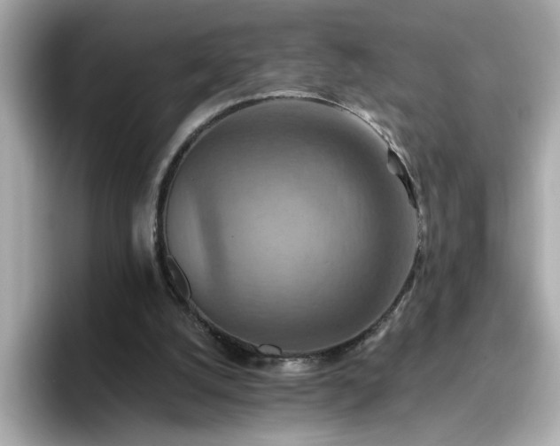 X0000096660056200802121139