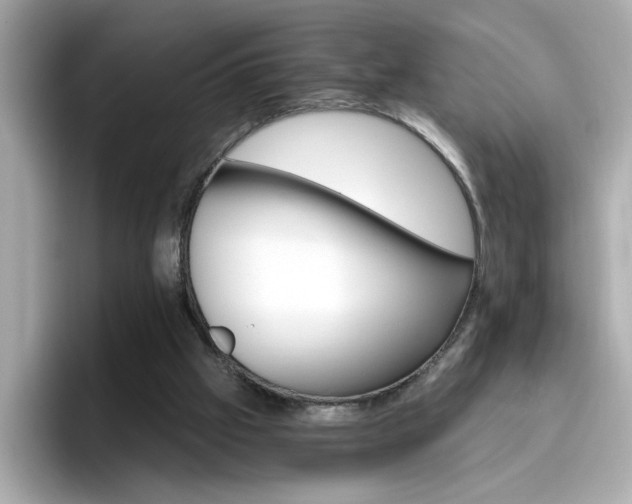 X0000096660057200802121139