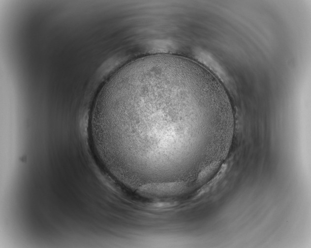 X0000096660058200802121139