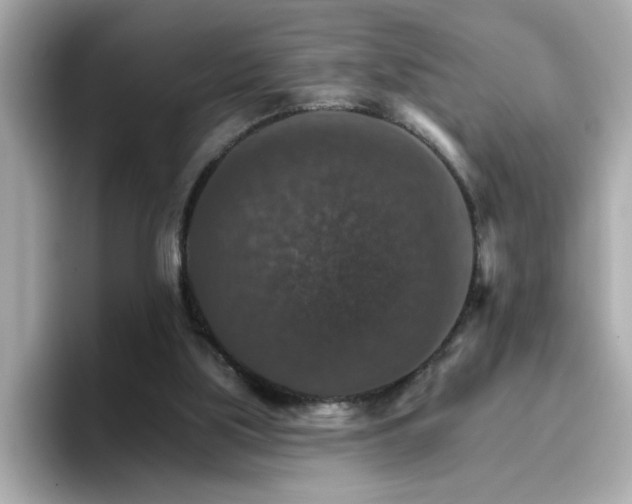 X0000096660059200802121139