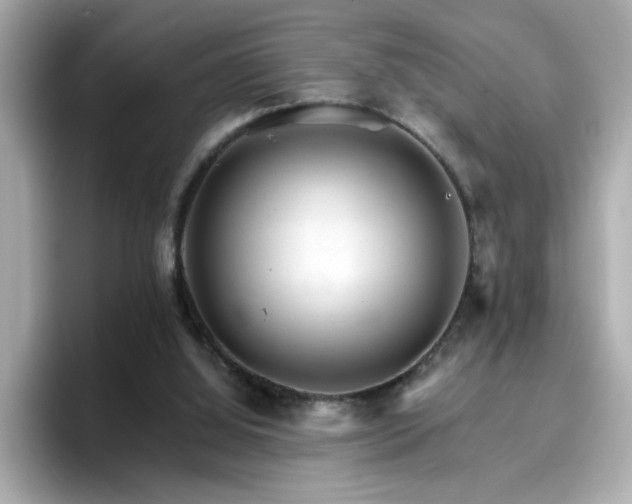 X0000096660060200802121139