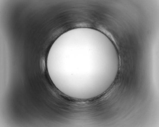 X0000096660061200802121139