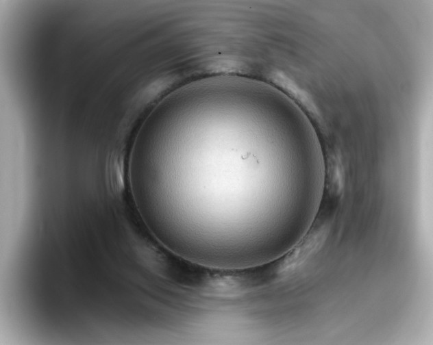 X0000096660062200802121139