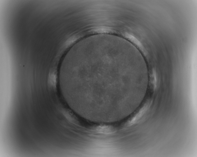 X0000096660063200802121139