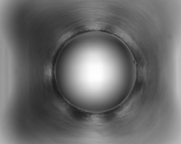 X0000096660064200802121139