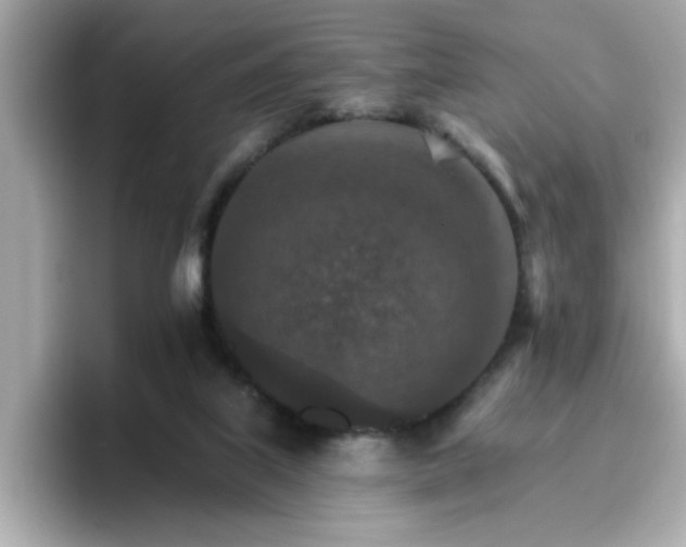 X0000096660067200802121139