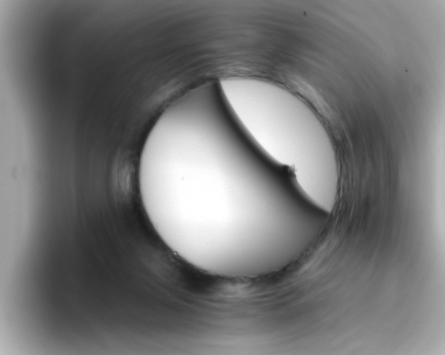 X0000096660071200802121139