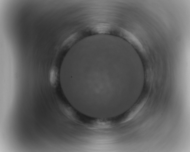 X0000096660073200802121139