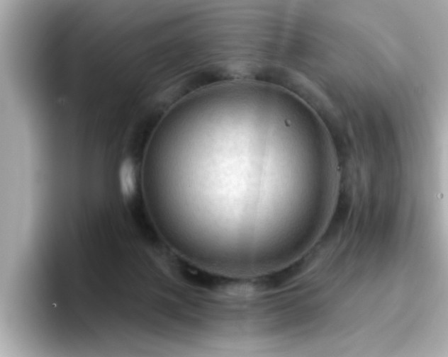 X0000096660075200802121139