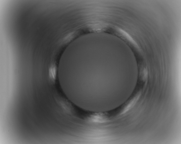 X0000096660076200802121139