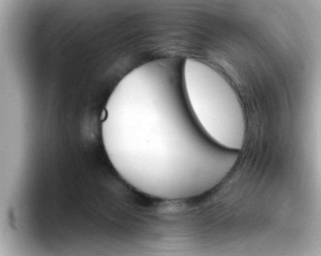 X0000096660077200802121139