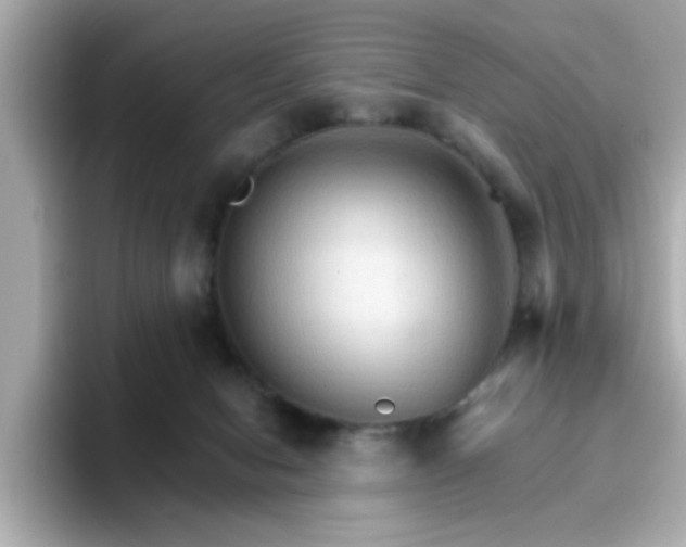 X0000096660078200802121139