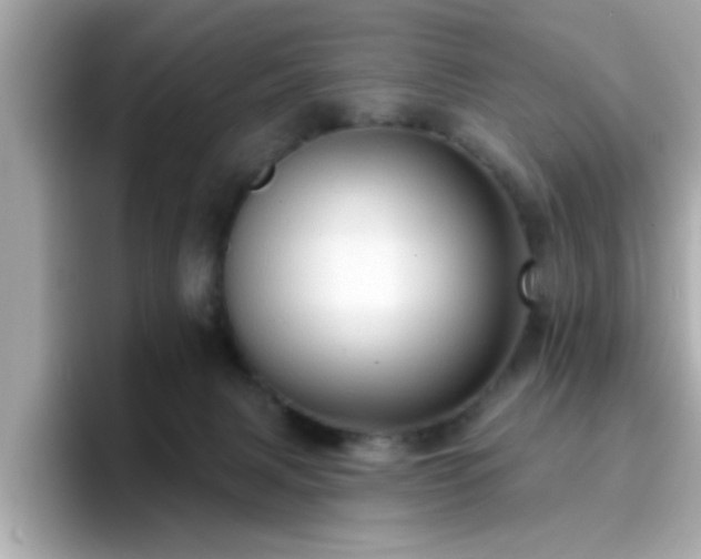 X0000096660079200802121139