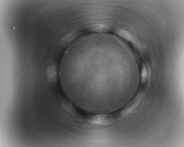 X0000096660080200802121139