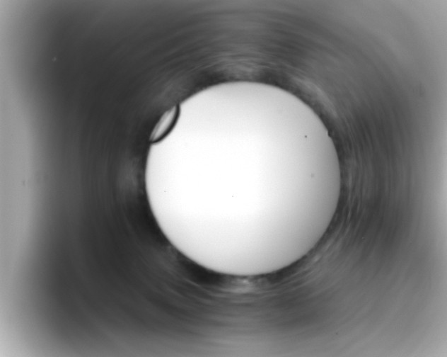 X0000096660083200802121139