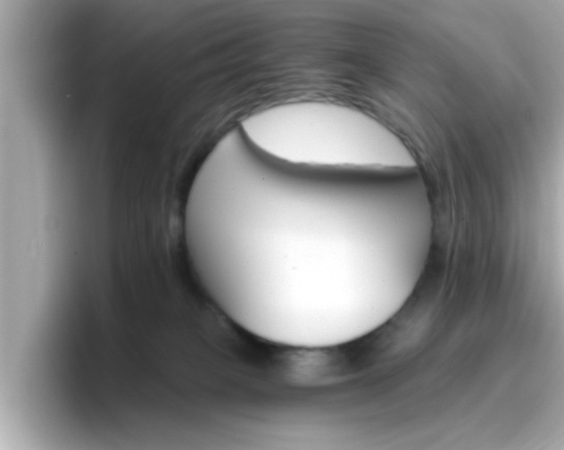 X0000096660085200802121139