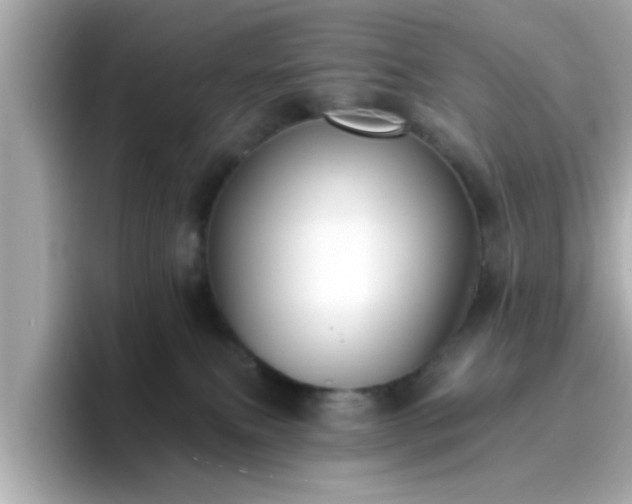 X0000096660087200802121139