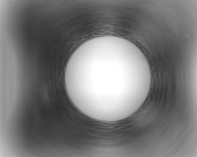 X0000096660088200802121139