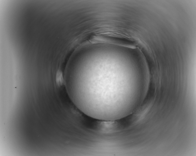 X0000096660089200802121139