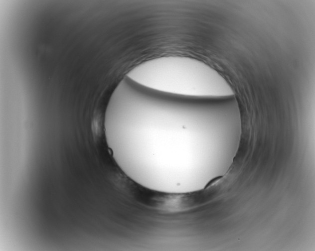 X0000096660090200802121139