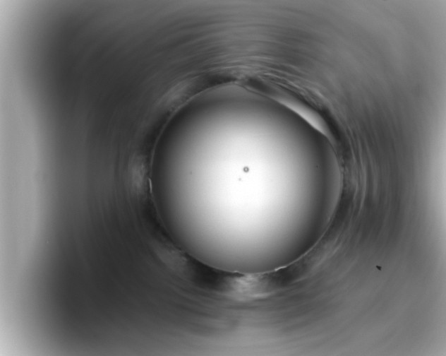 X0000096660092200802121139