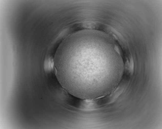 X0000096660095200802121139