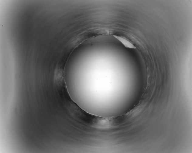 X0000096660096200802121139