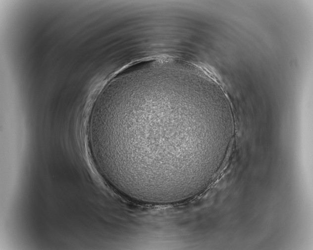 X0000096660097200802121139