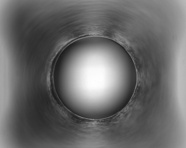 X0000096660098200802121139