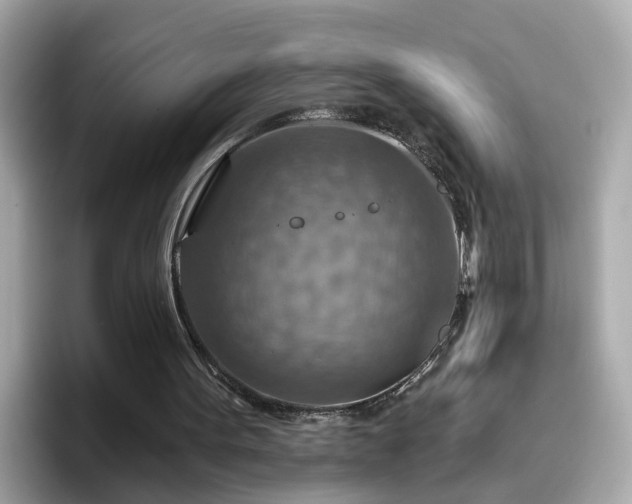 X0000096660099200802121139