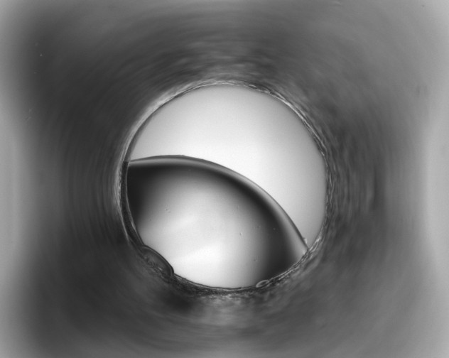 X0000096660100200802121139