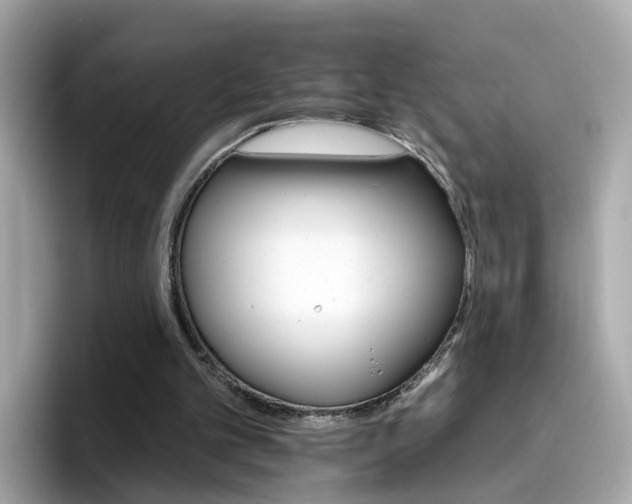 X0000096660101200802121139