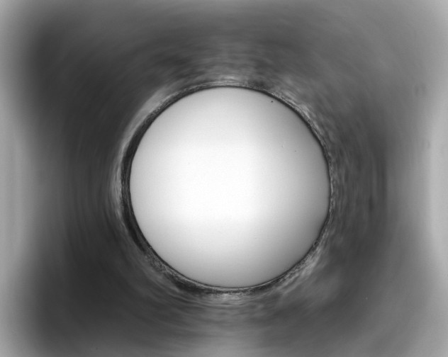 X0000096660102200802121139